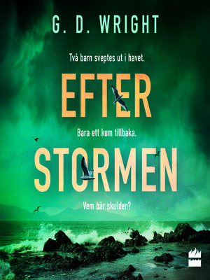 cover image of Efter stormen